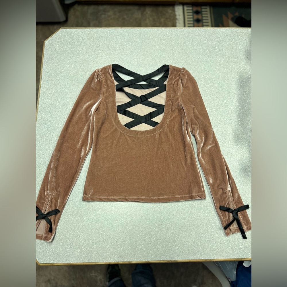Anthropologie taupe colored crushed velvet top